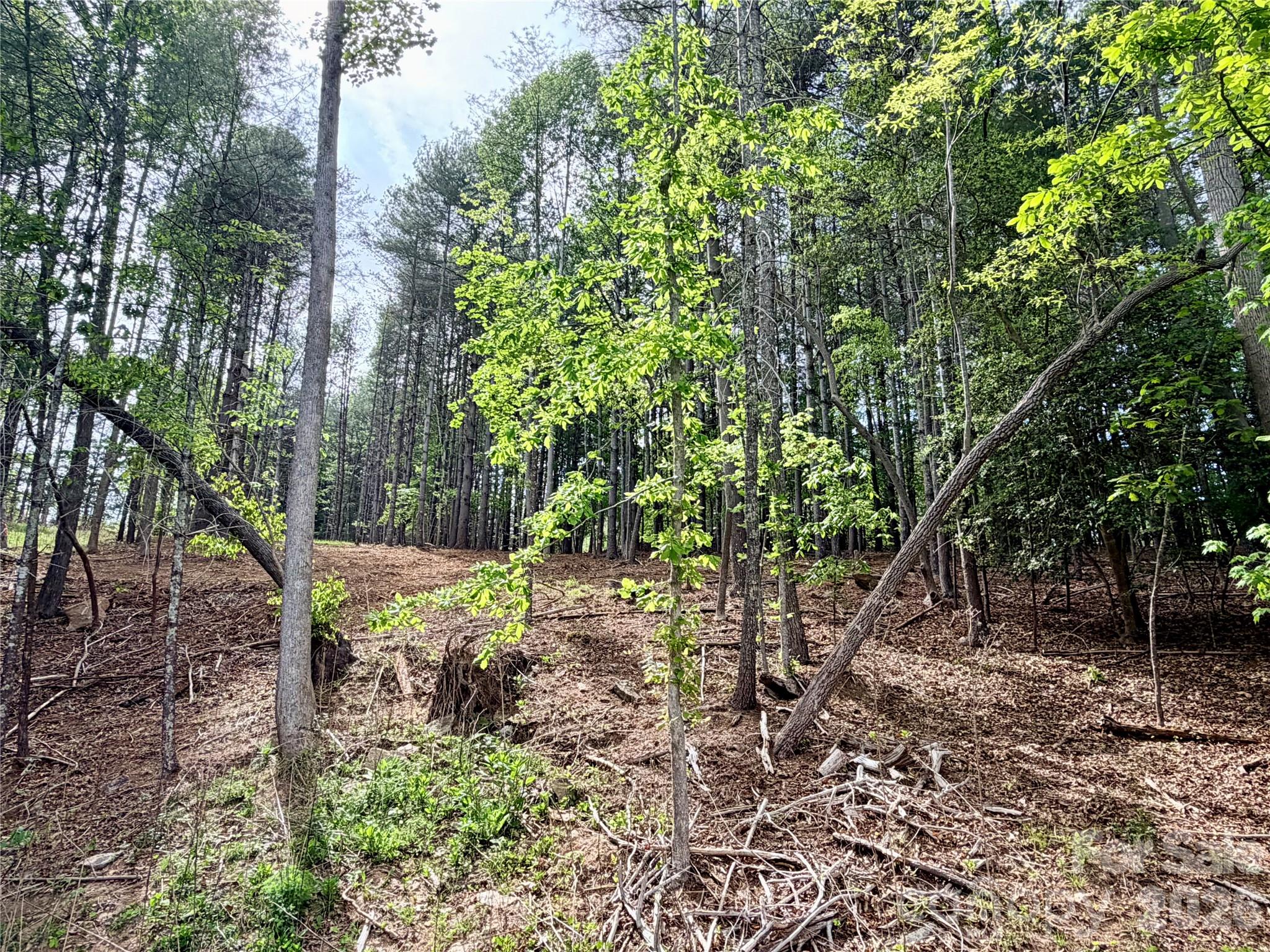 4981 Camellia Drive Morganton NC 28655