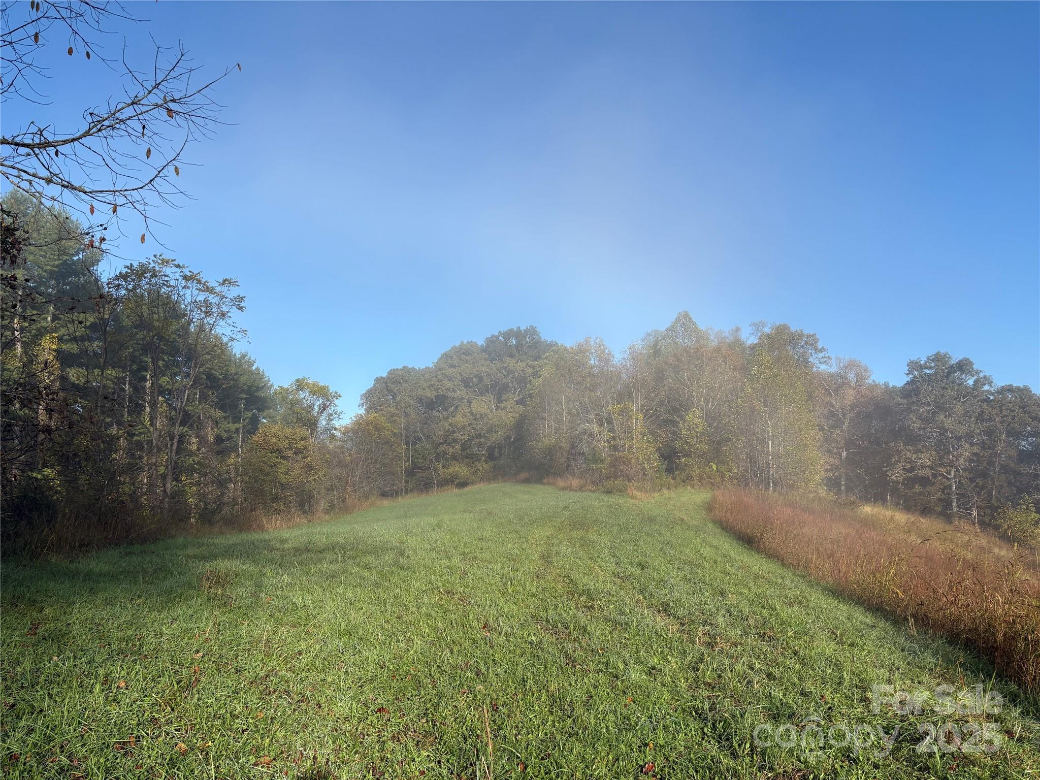 24 Bob Wright Hill Road Leicester NC 28748