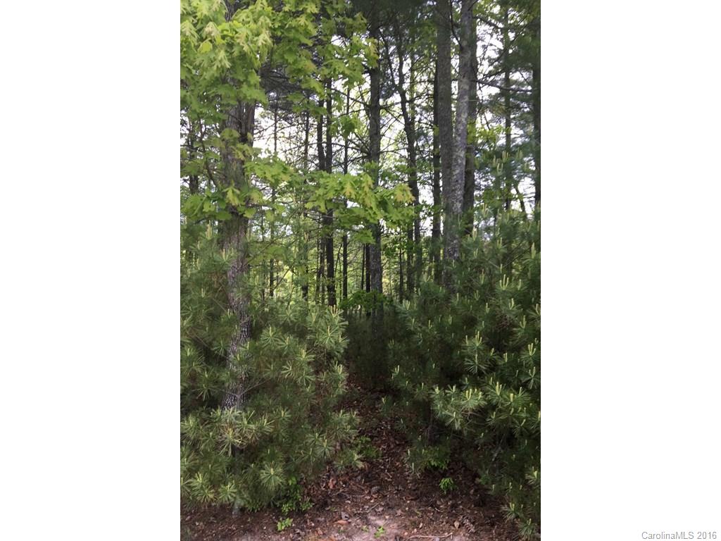 42 Fairsted Drive Asheville NC 28803
