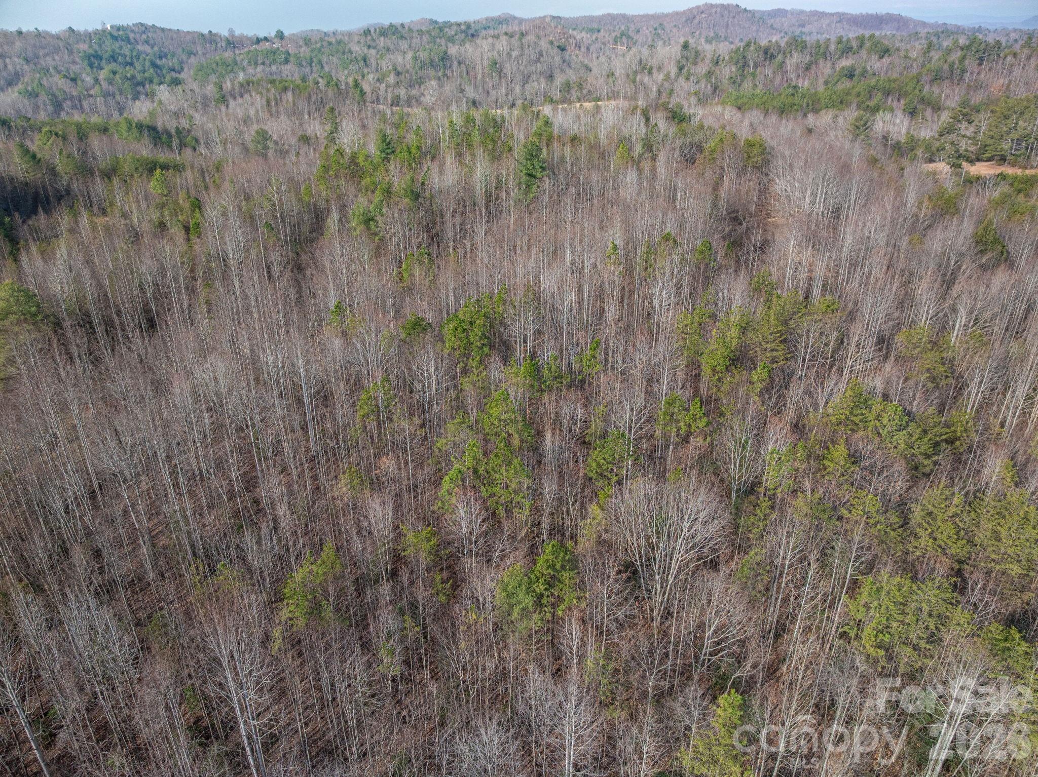 2091 Fork Creek Place Lenoir NC 28645