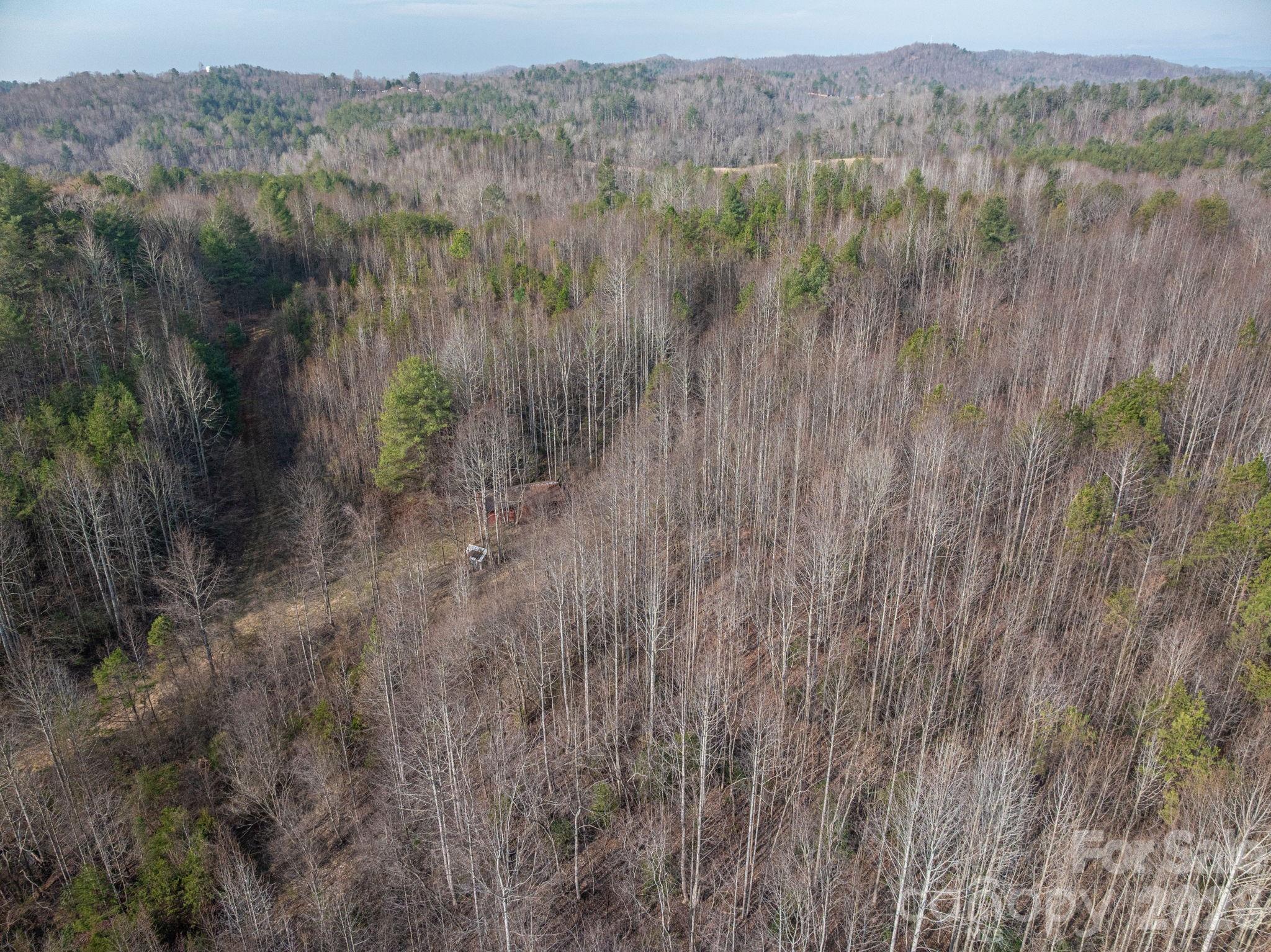 2091 Fork Creek Place Lenoir NC 28645