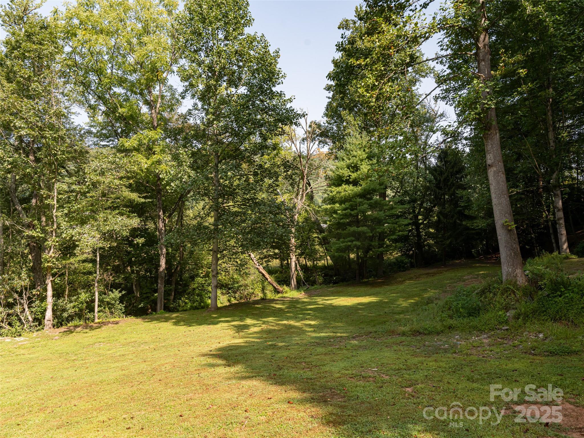 9999 Del Sol Drive Mills River NC 28759
