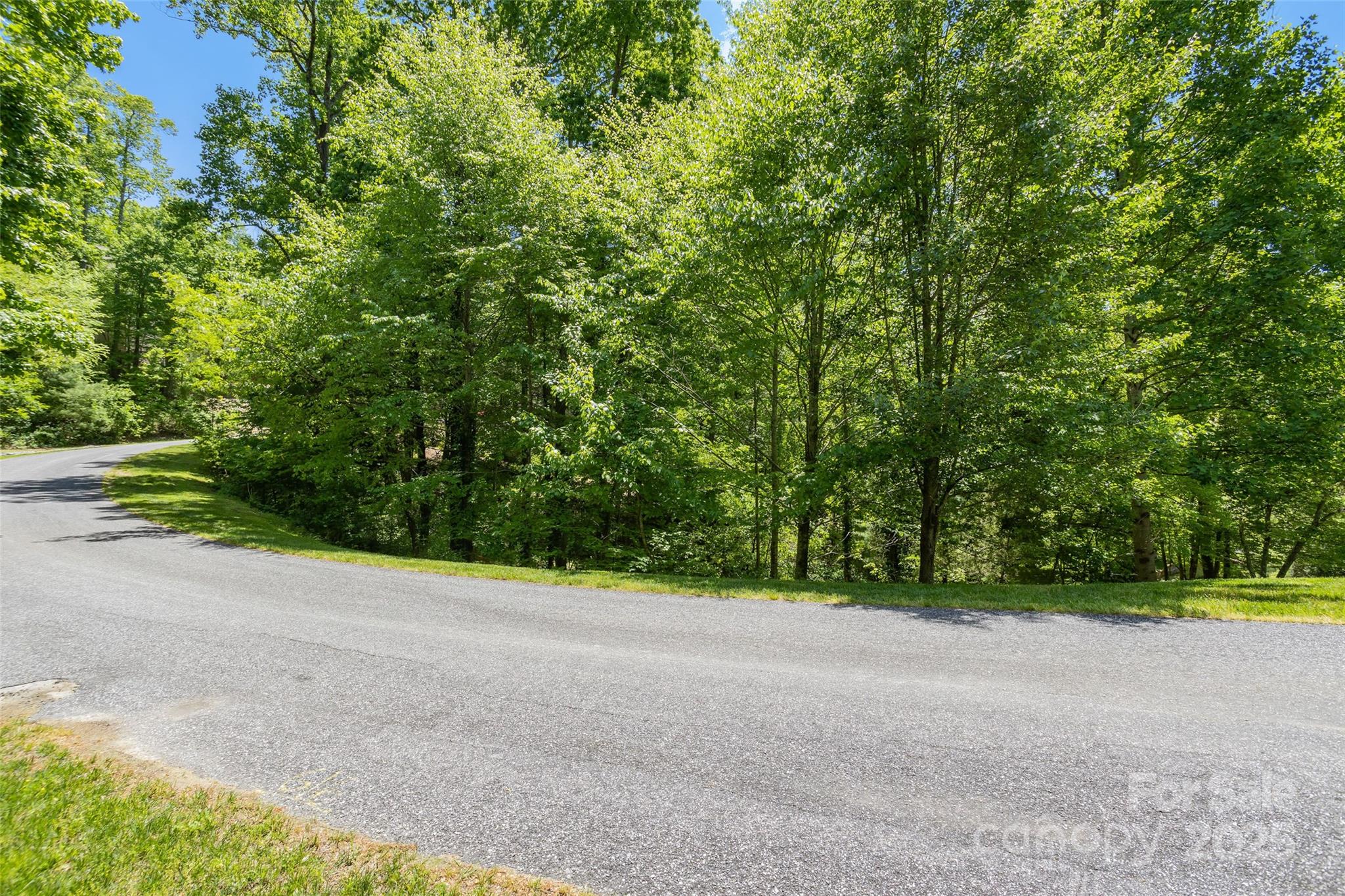 98 Flameleaf Lane Hendersonville NC 28739