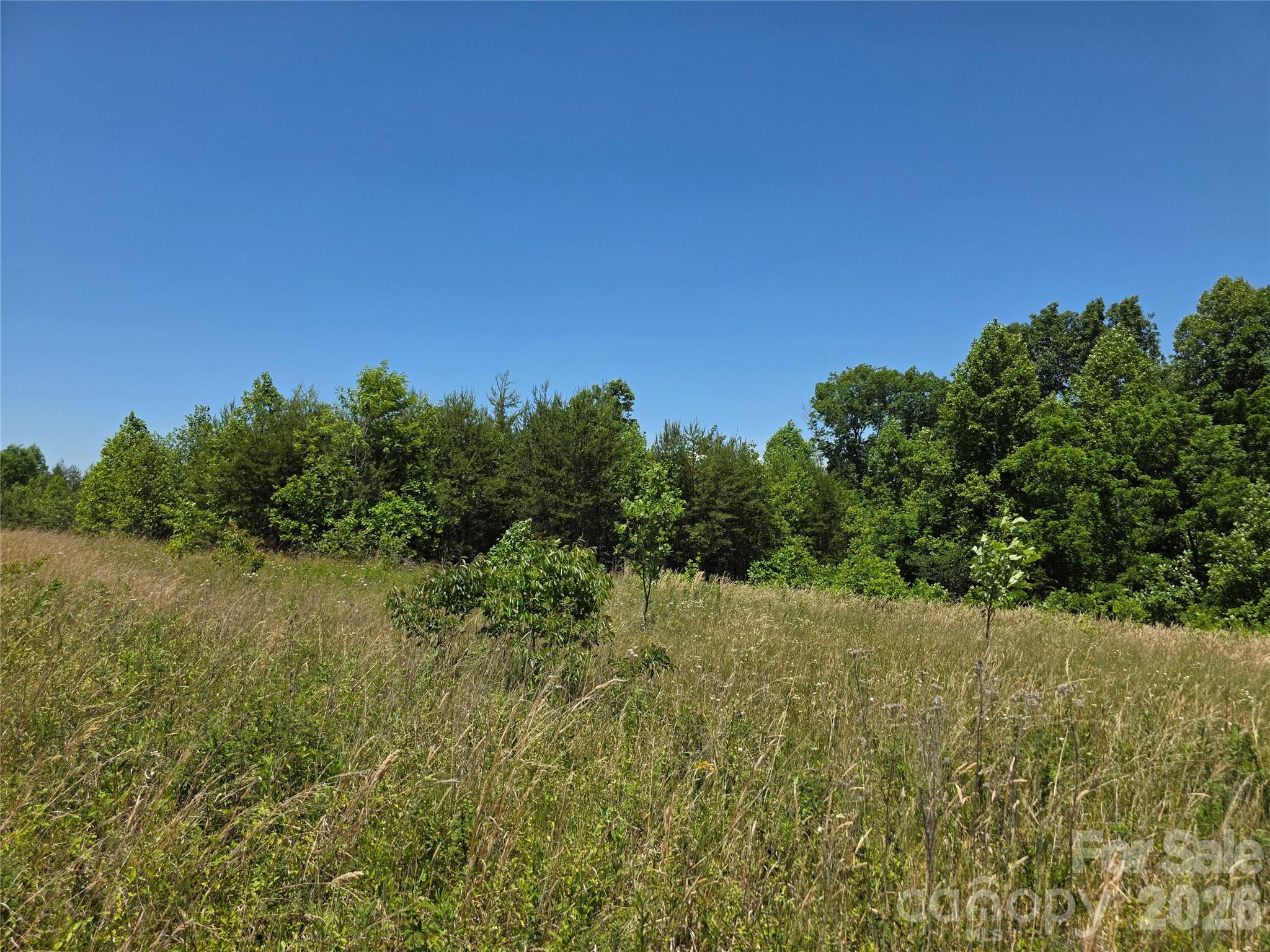 0 Moir Farm Road Lawsonville NC 27022