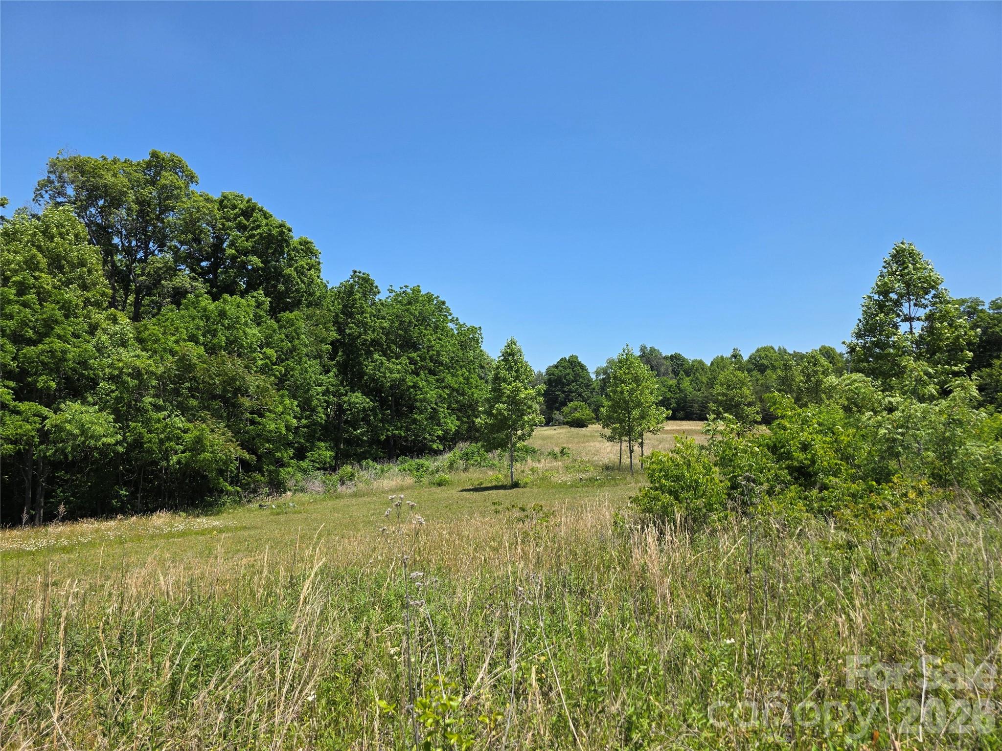 0 Moir Farm Road Lawsonville NC 27022