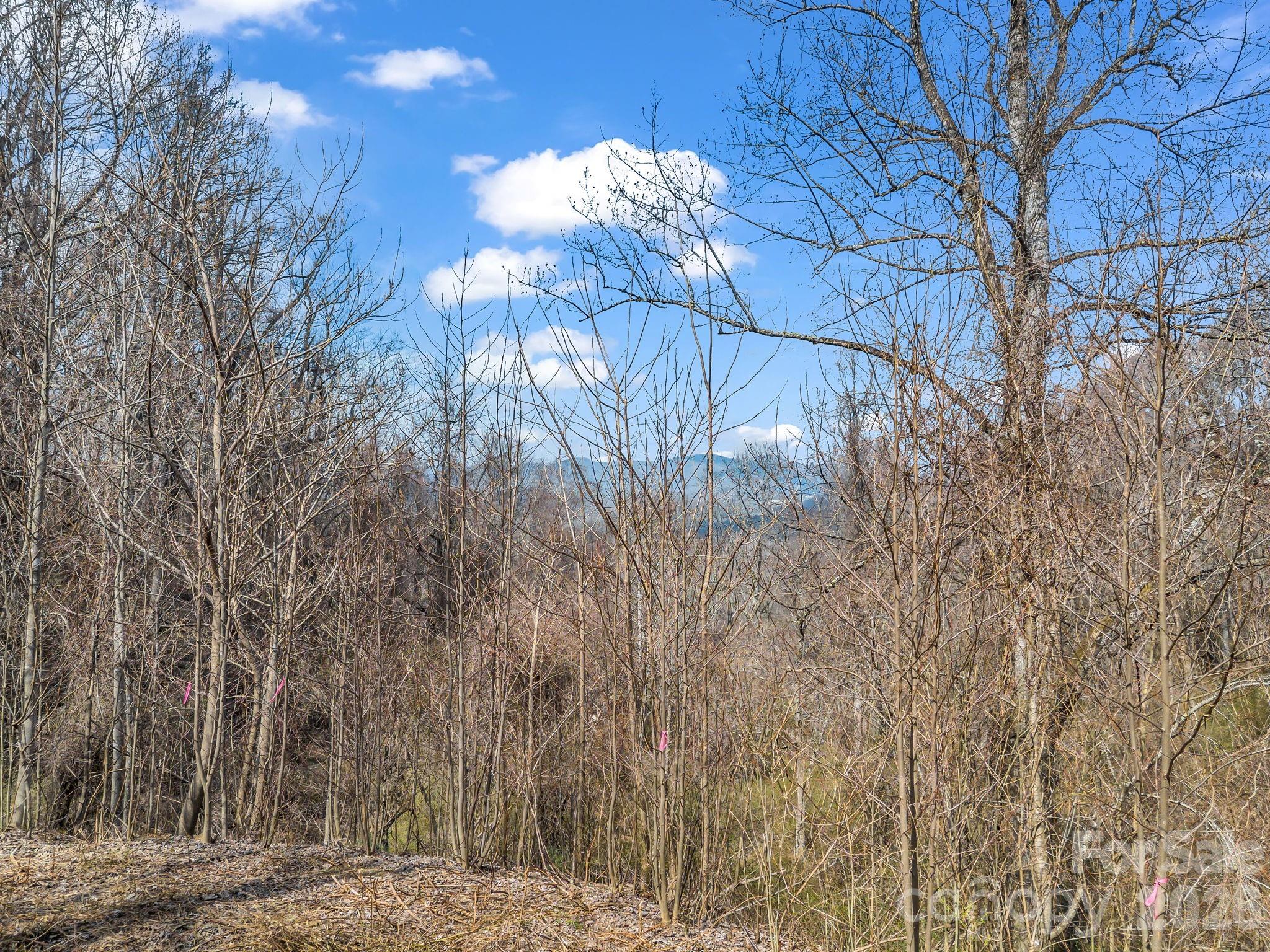 99999 Rose Hill Road Asheville NC 28803