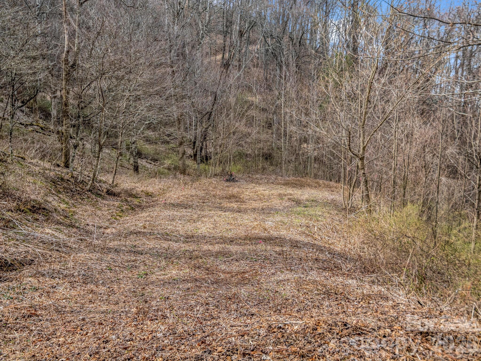 99999 Rose Hill Road Asheville NC 28803