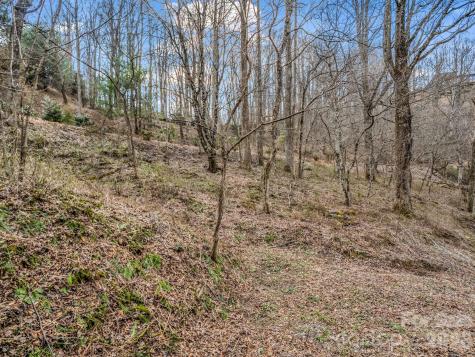 99999 Rose Hill Road Asheville NC 28803