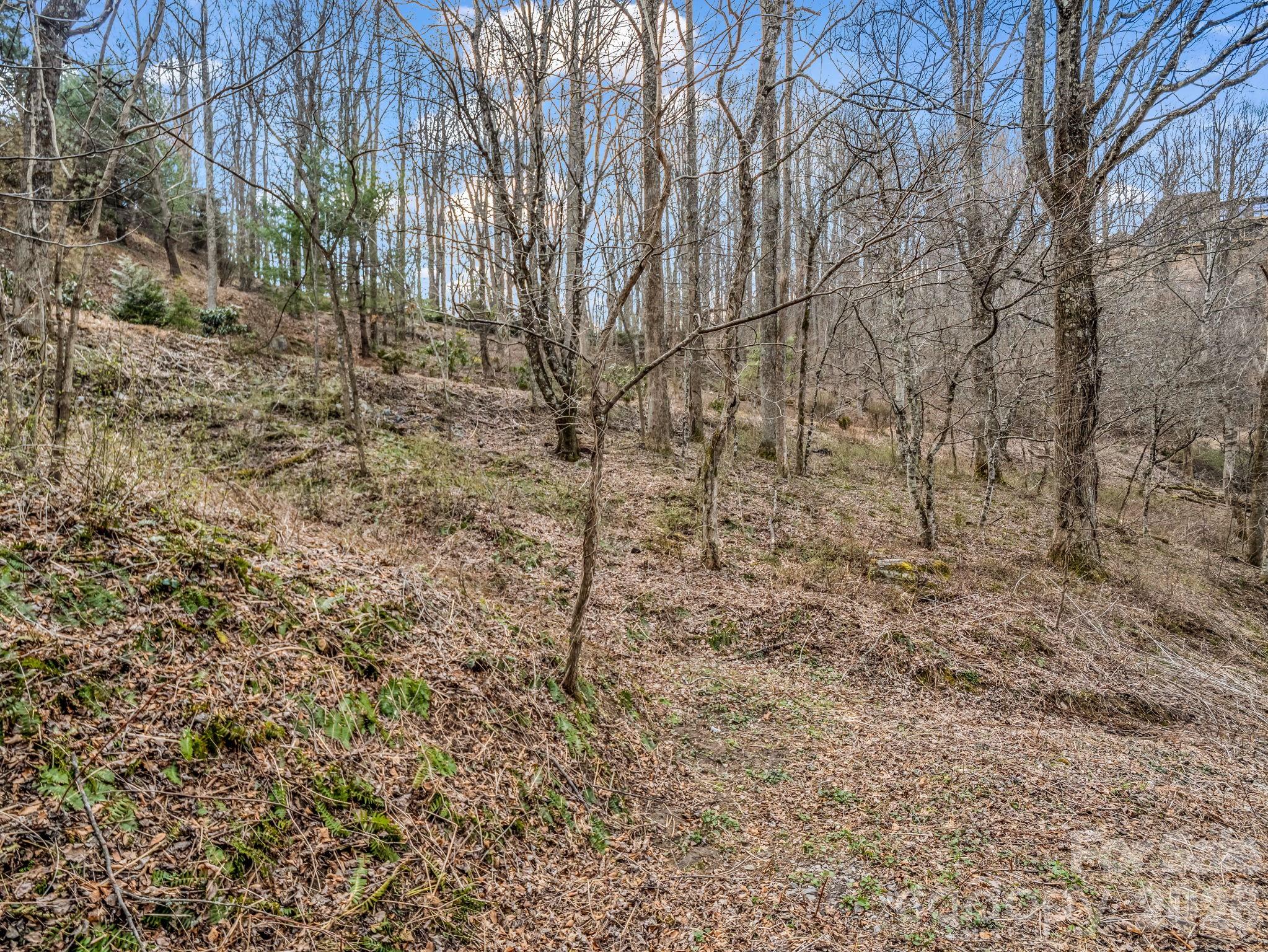 99999 Rose Hill Road Asheville NC 28803