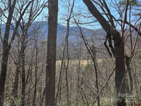 Lot 57 Banjo Court Lake Lure NC 28746