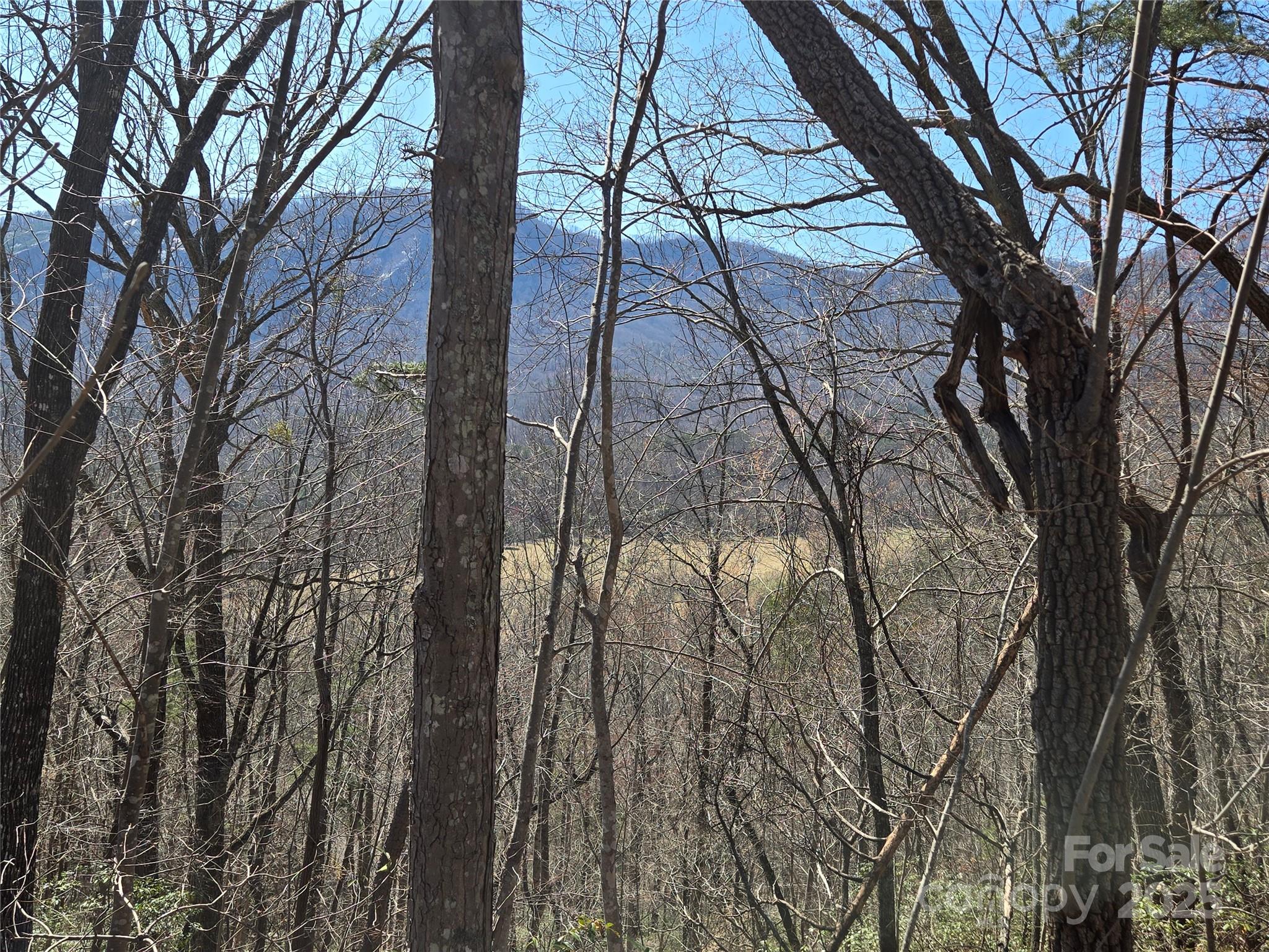Lot 57 Banjo Court Lake Lure NC 28746