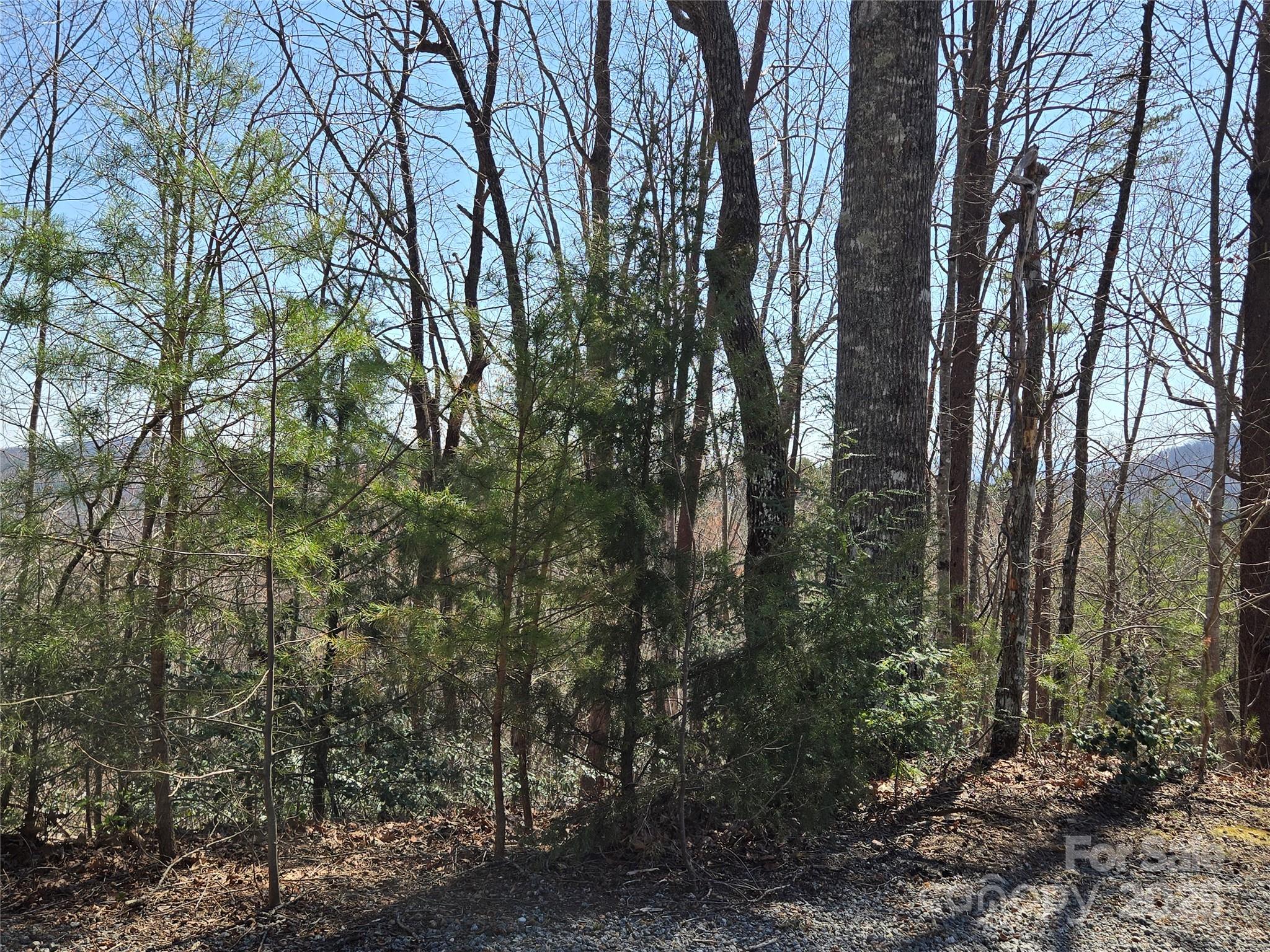 Lot 57 Banjo Court Lake Lure NC 28746