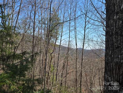 Lot 57 Banjo Court Lake Lure NC 28746