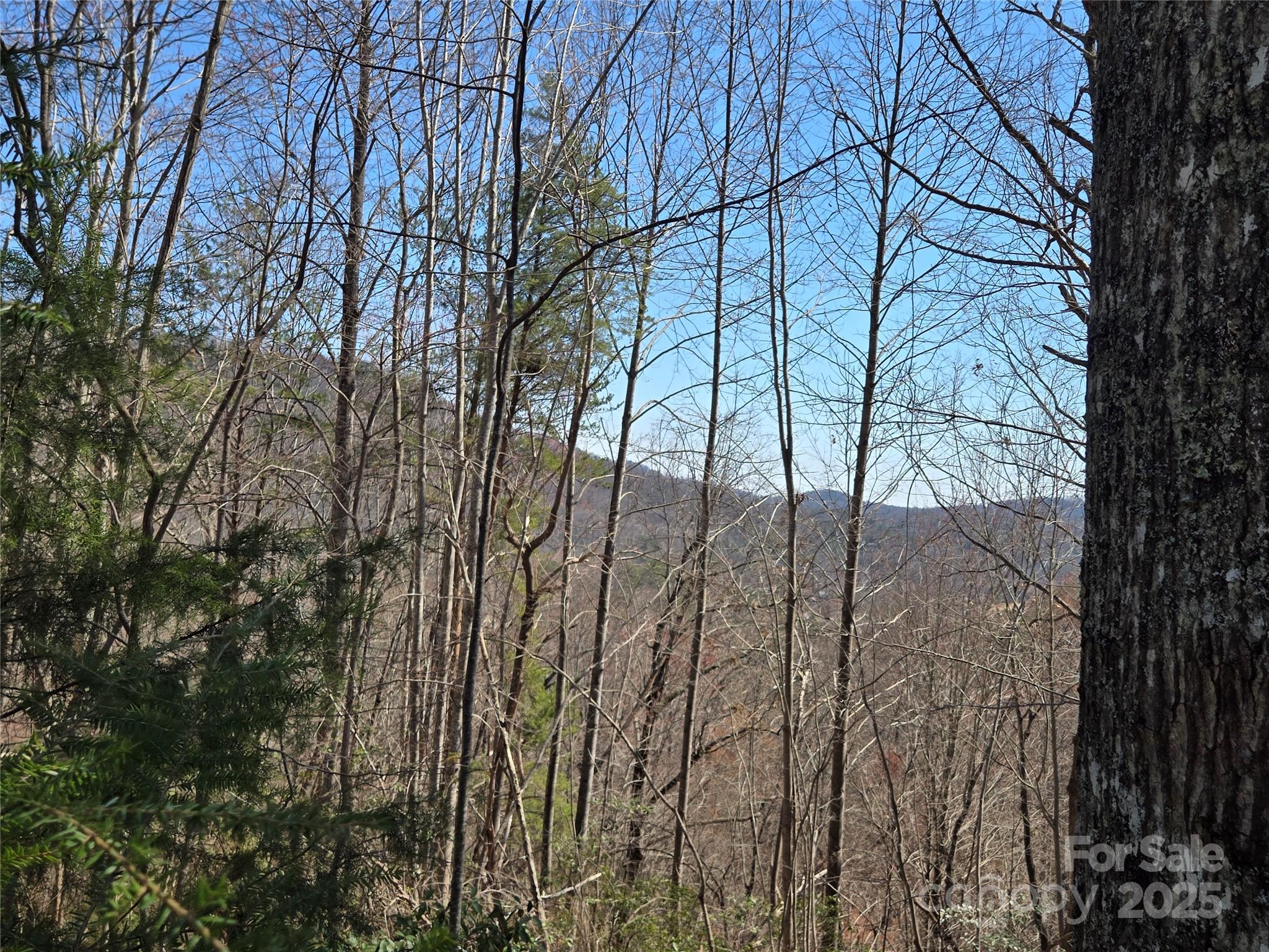 Lot 57 Banjo Court Lake Lure NC 28746