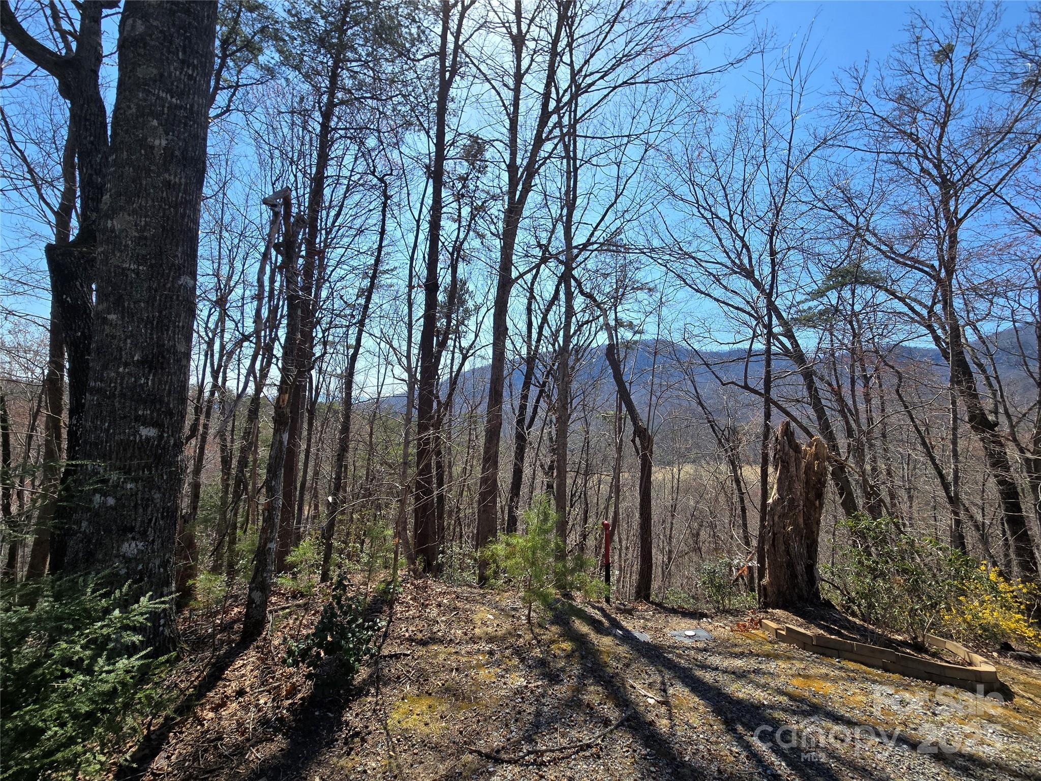 Lot 57 Banjo Court Lake Lure NC 28746