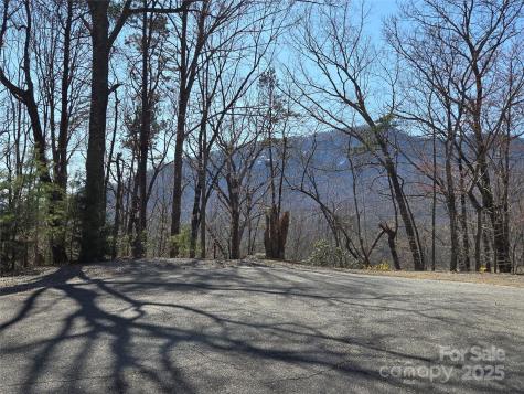Lot 57 Banjo Court Lake Lure NC 28746