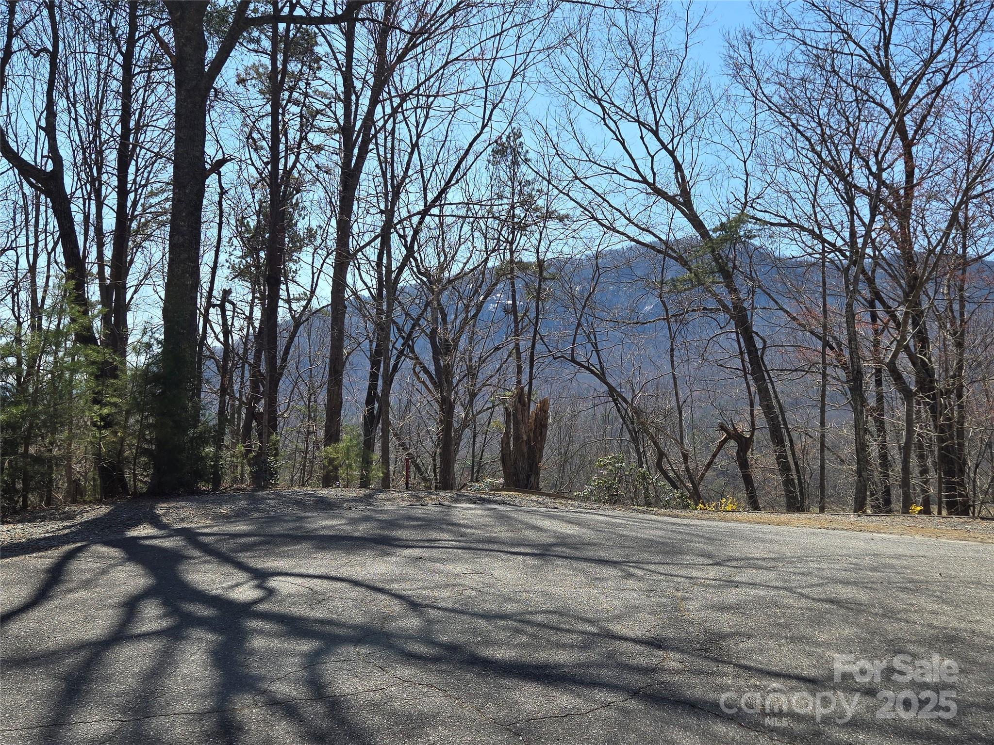 Lot 57 Banjo Court Lake Lure NC 28746