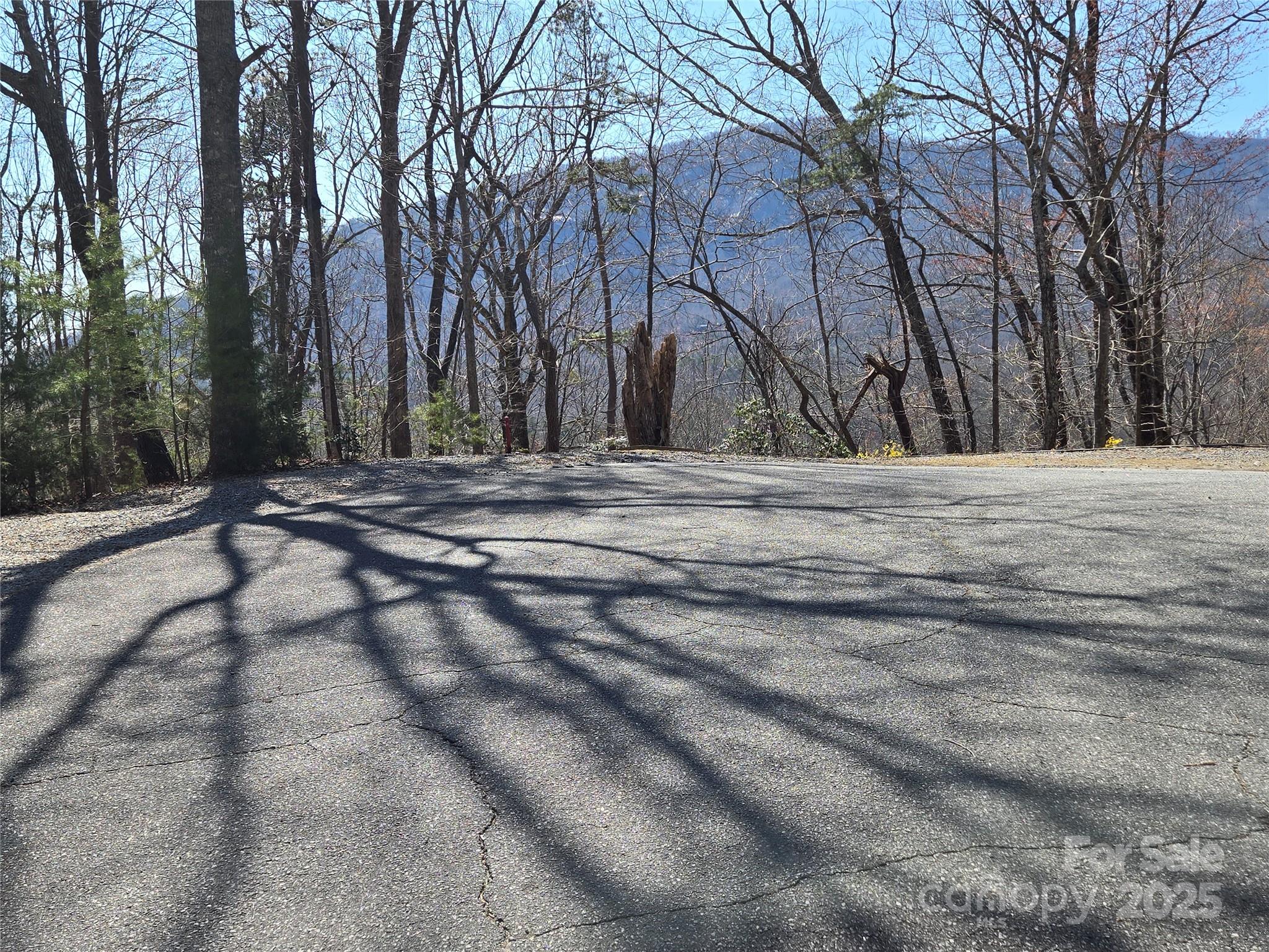 Lot 57 Banjo Court Lake Lure NC 28746