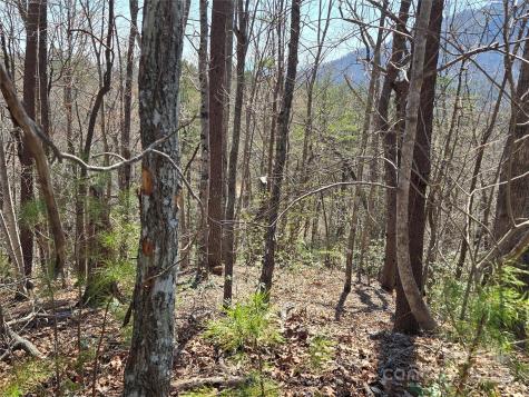 Lot 57 Banjo Court Lake Lure NC 28746