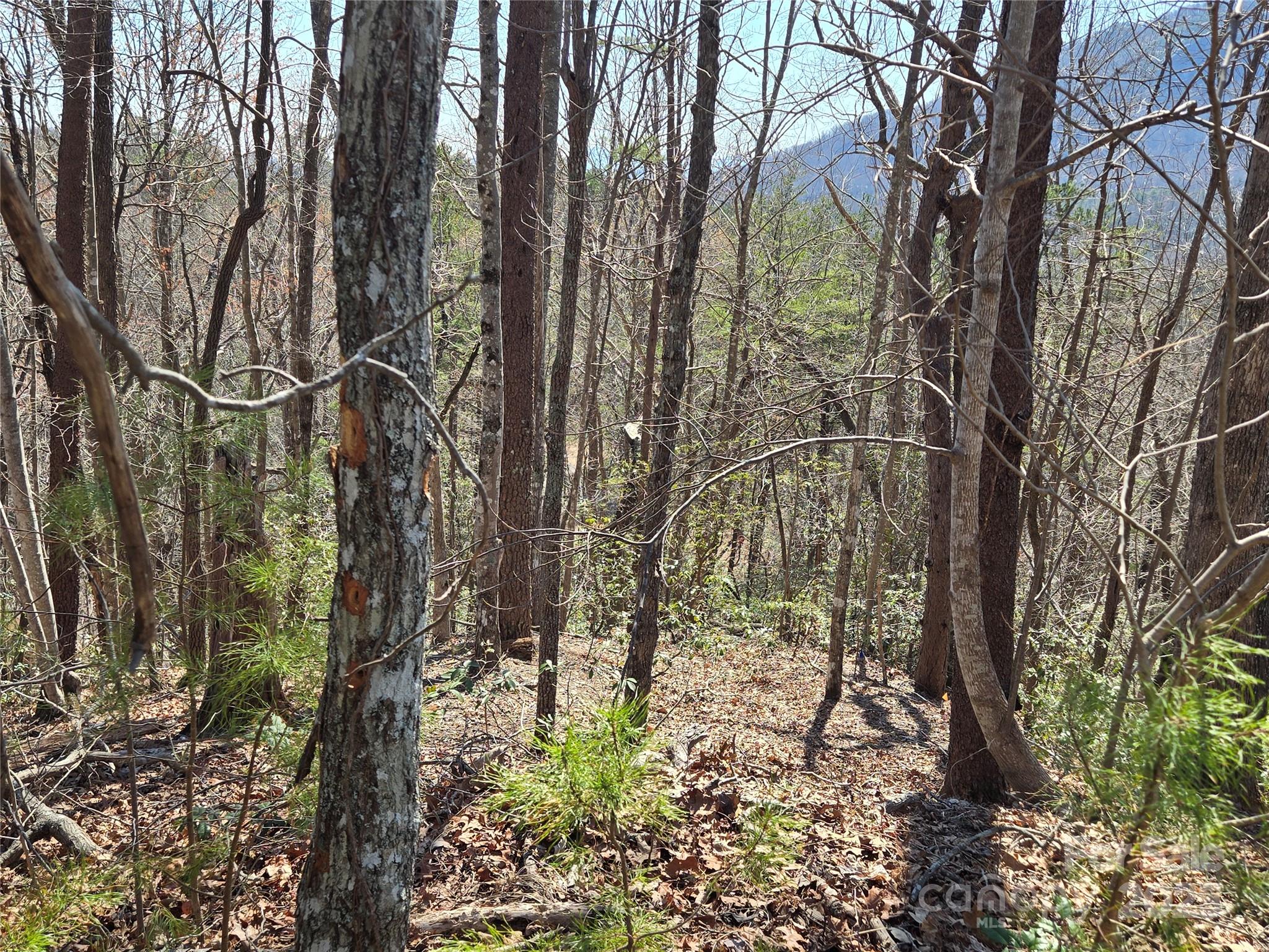 Lot 57 Banjo Court Lake Lure NC 28746