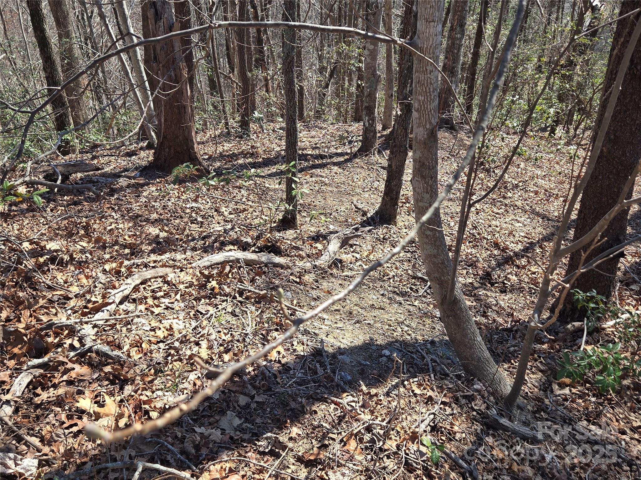 Lot 57 Banjo Court Lake Lure NC 28746
