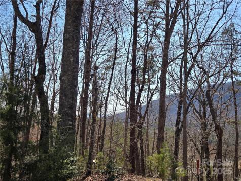 Lot 57 Banjo Court Lake Lure NC 28746
