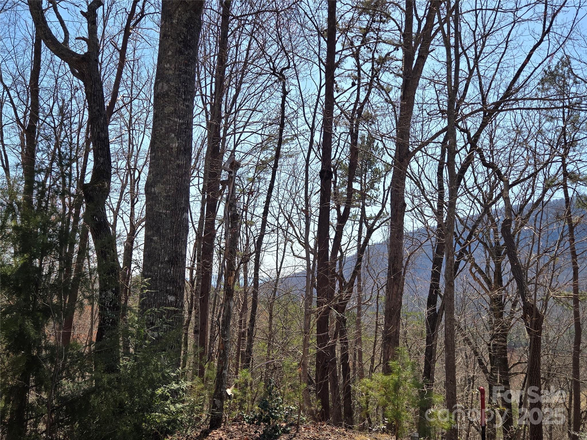Lot 57 Banjo Court Lake Lure NC 28746