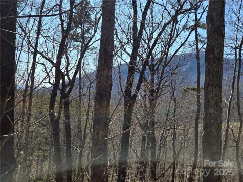 Lot 57 Banjo Court Lake Lure NC 28746