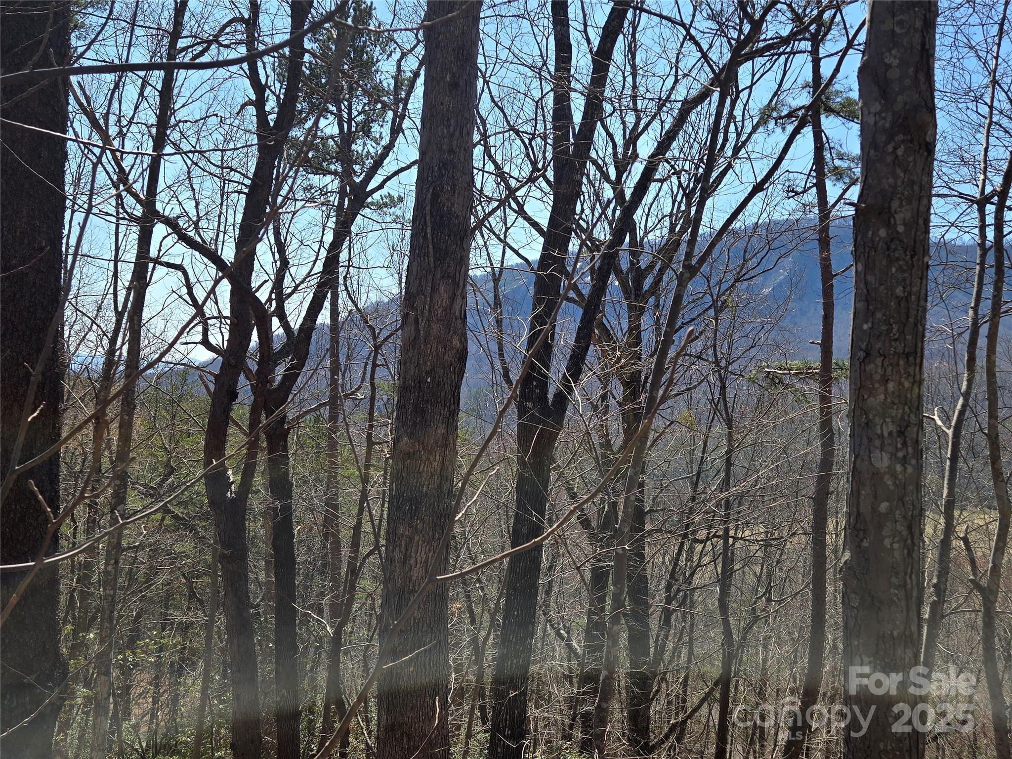 Lot 57 Banjo Court Lake Lure NC 28746