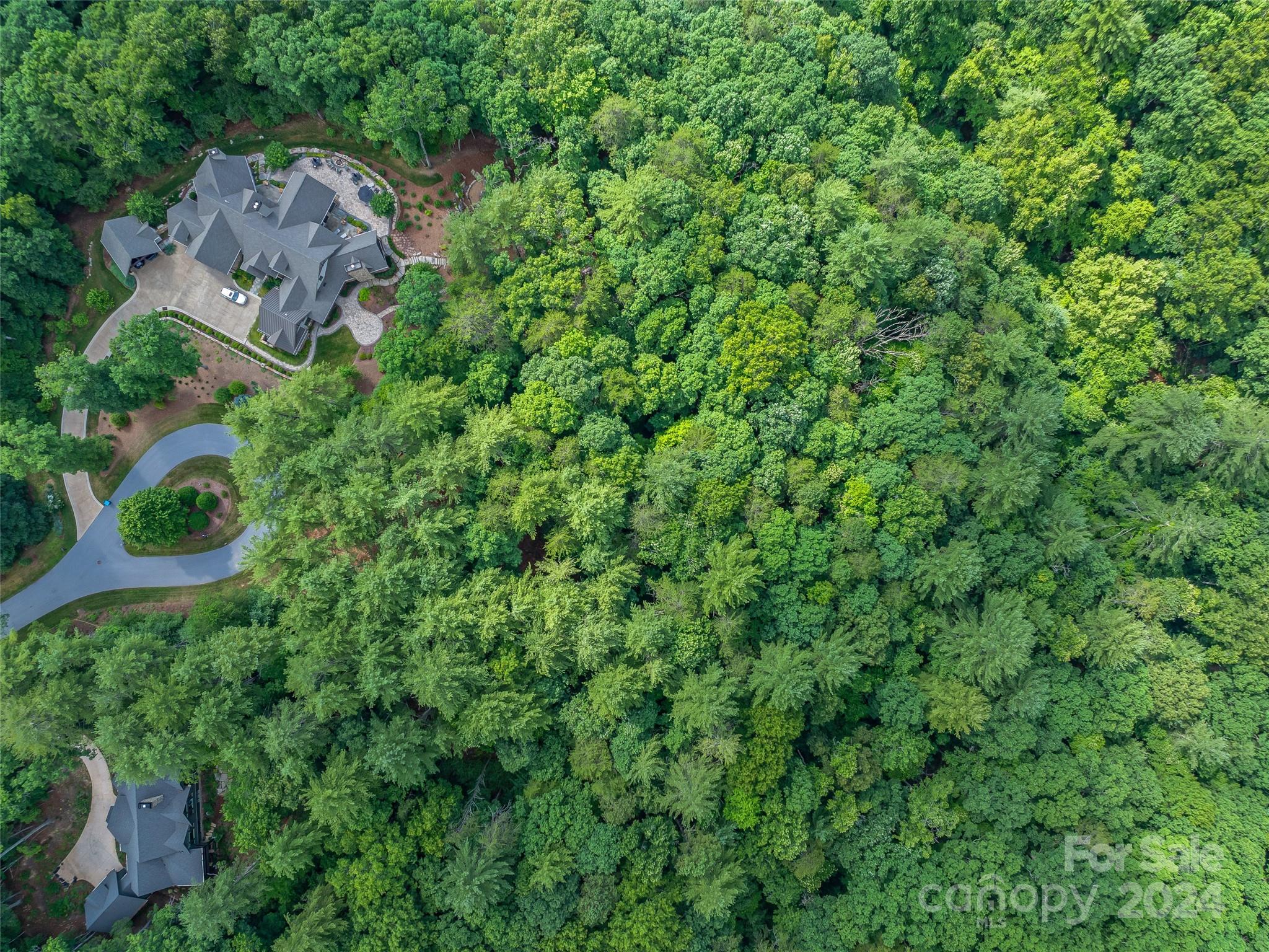 128 Mirehouse Run Asheville NC 28803