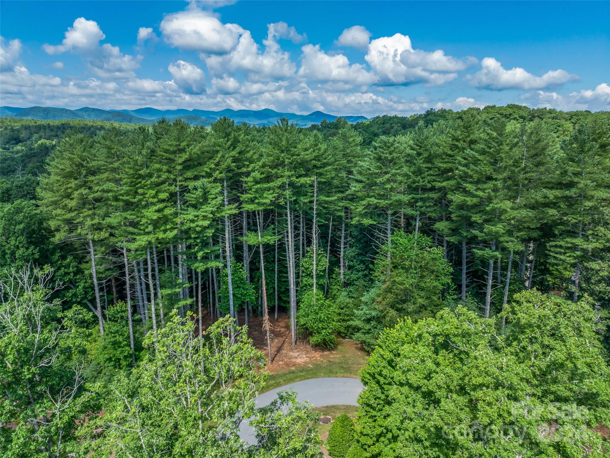 128 Mirehouse Run Asheville NC 28803