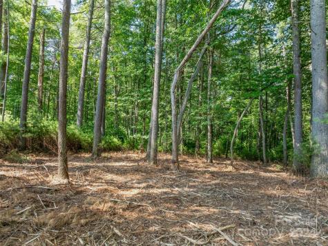 128 Mirehouse Run Asheville NC 28803