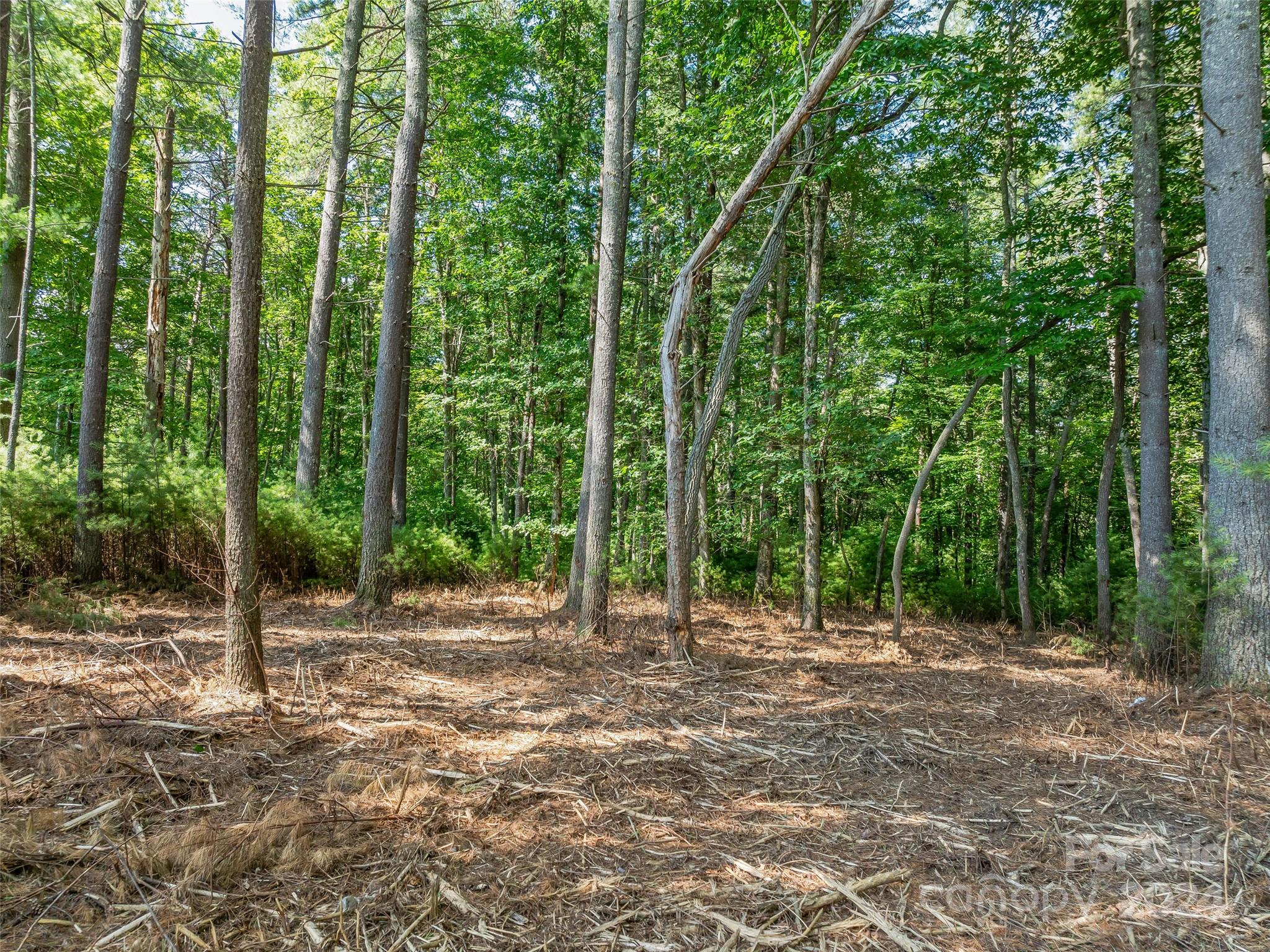 128 Mirehouse Run Asheville NC 28803
