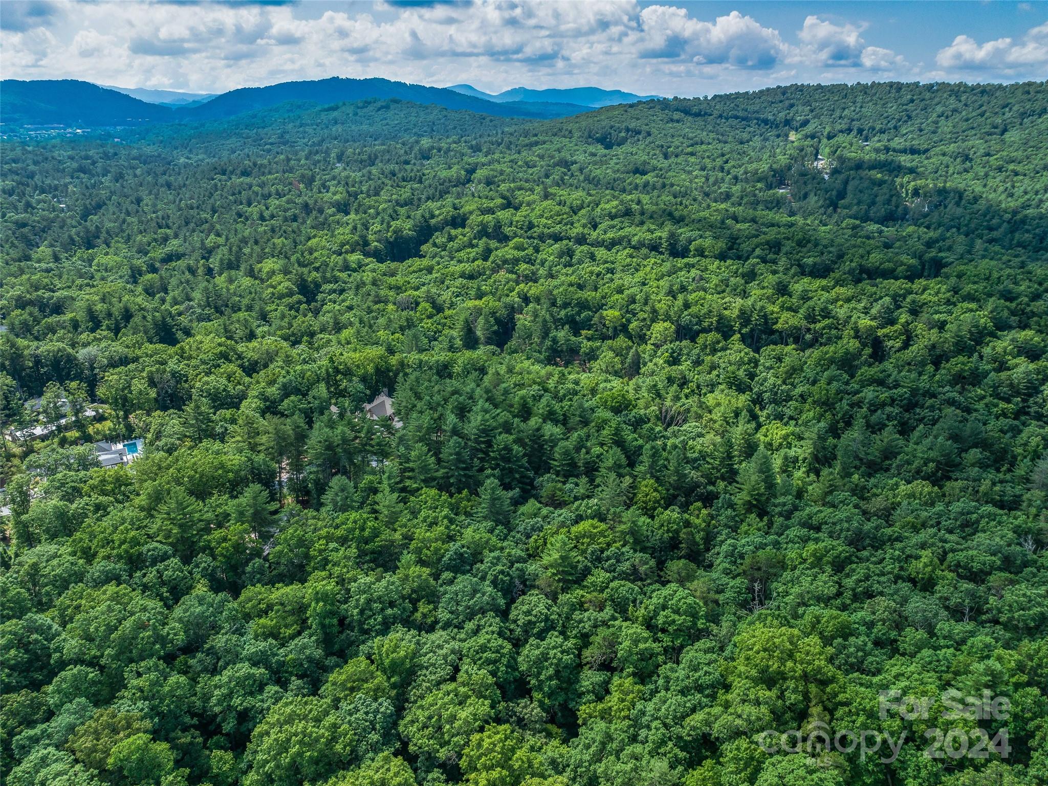 128 Mirehouse Run Asheville NC 28803