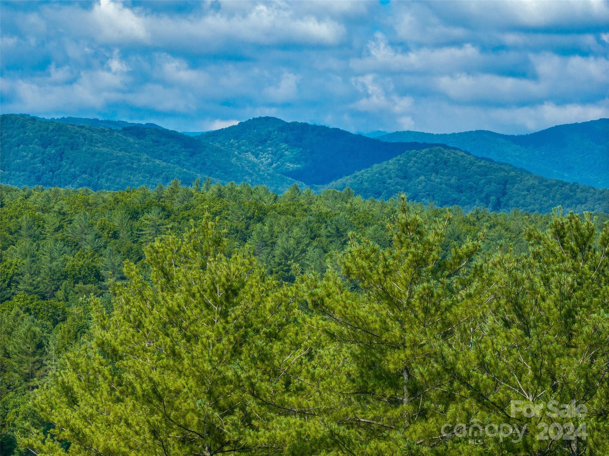 128 Mirehouse Run Asheville NC 28803