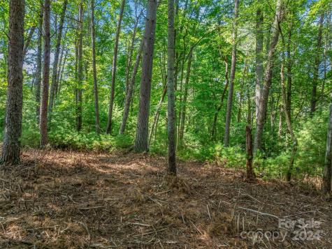 128 Mirehouse Run Asheville NC 28803