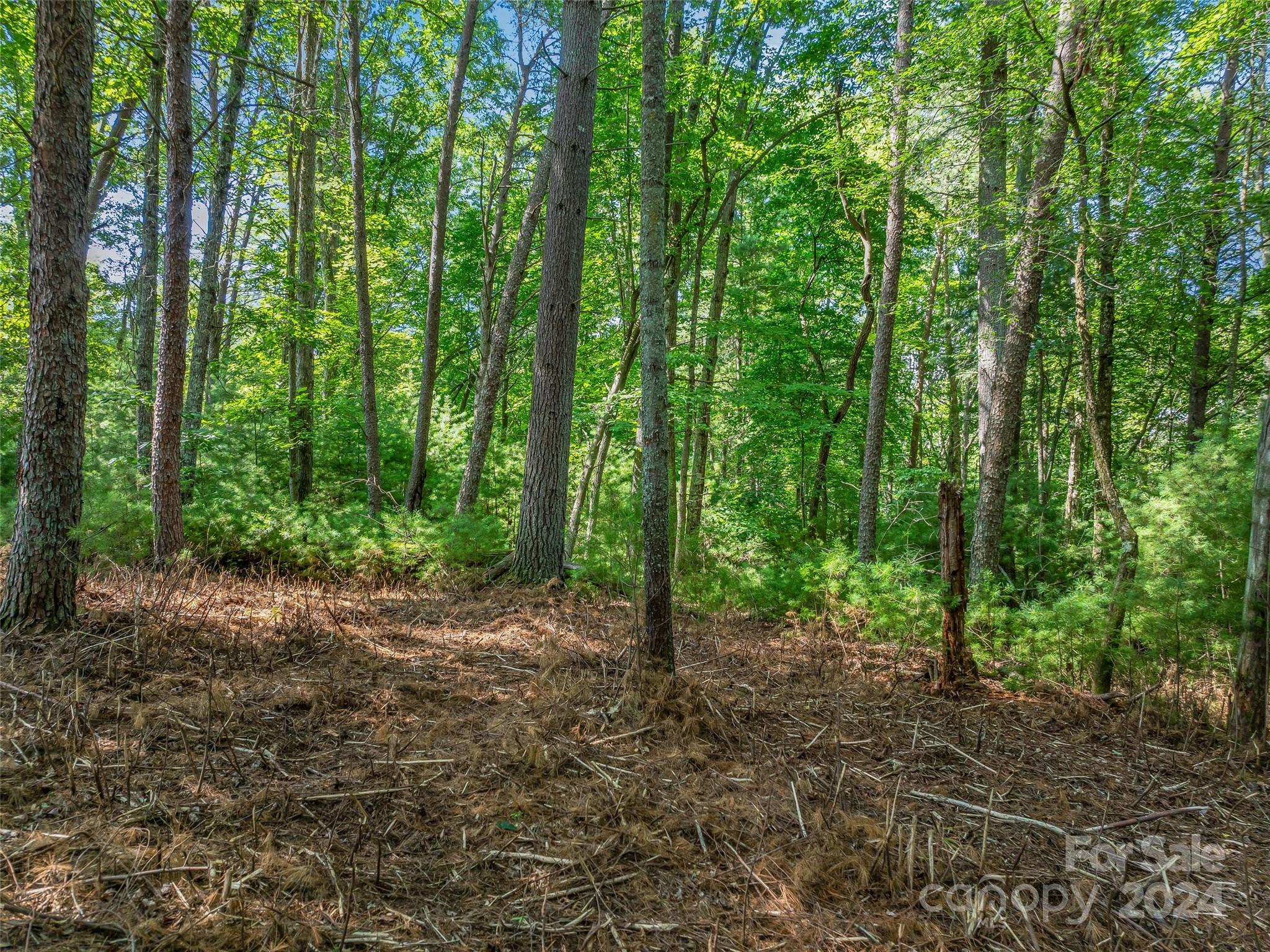 128 Mirehouse Run Asheville NC 28803