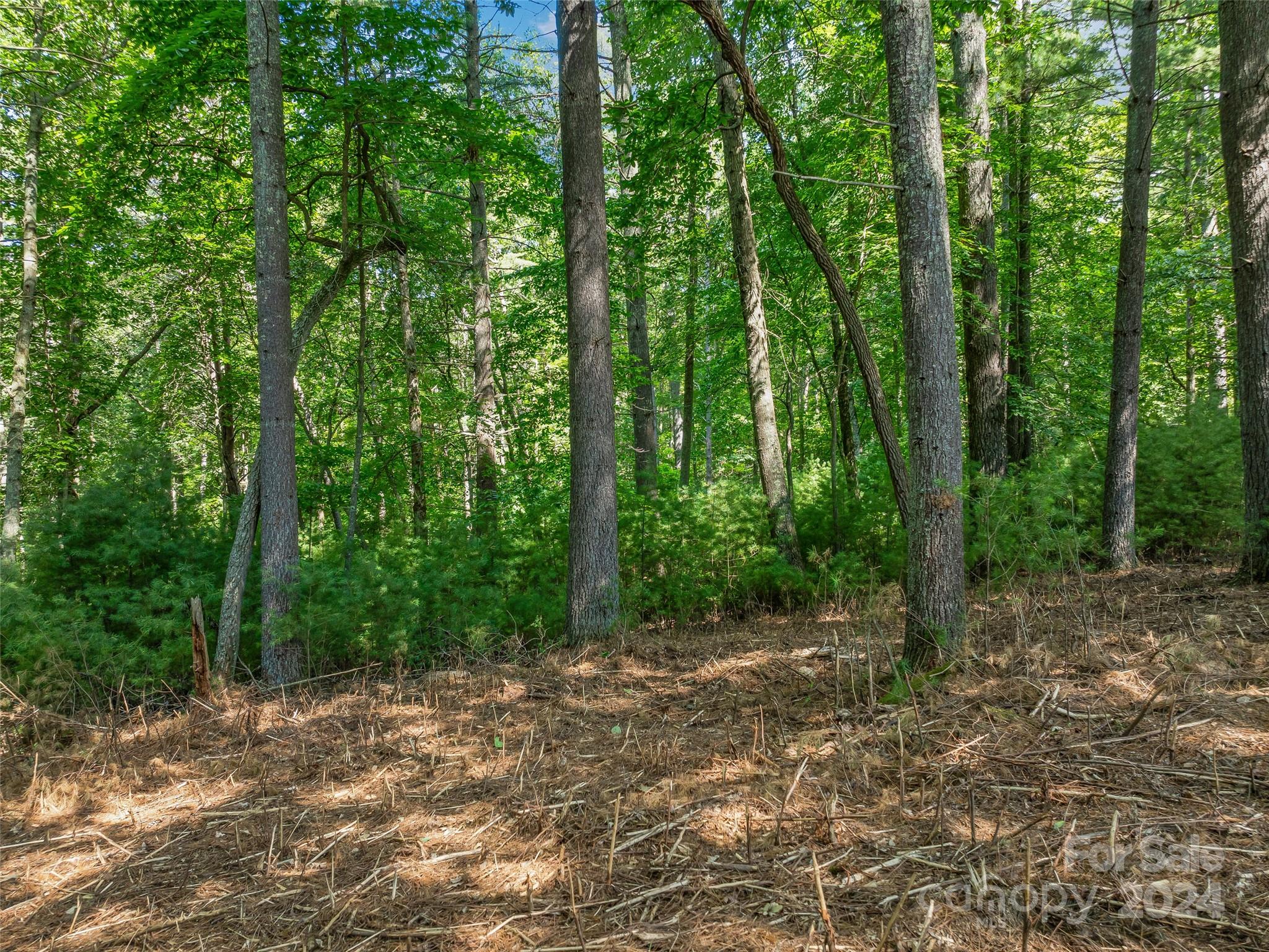 128 Mirehouse Run Asheville NC 28803