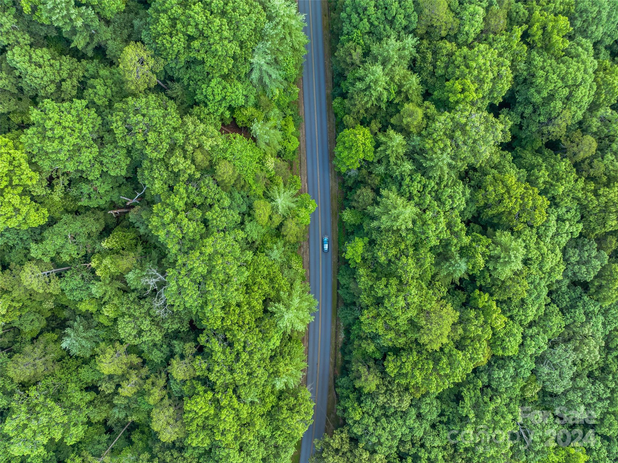 128 Mirehouse Run Asheville NC 28803