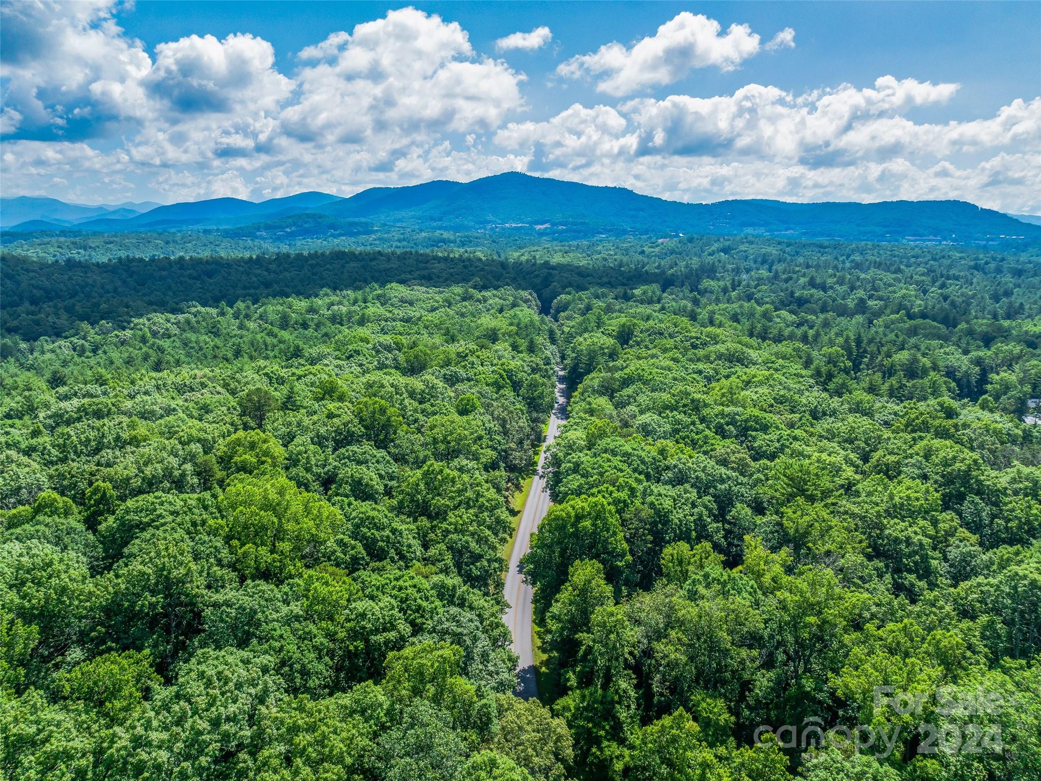 128 Mirehouse Run Asheville NC 28803