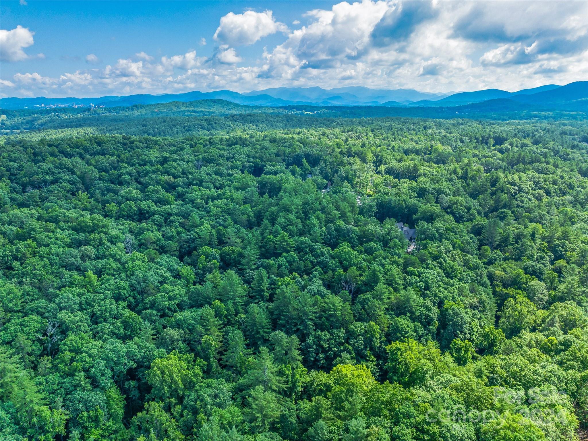 128 Mirehouse Run Asheville NC 28803