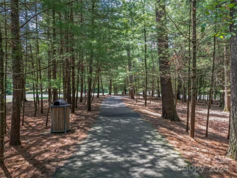 128 Mirehouse Run Asheville NC 28803