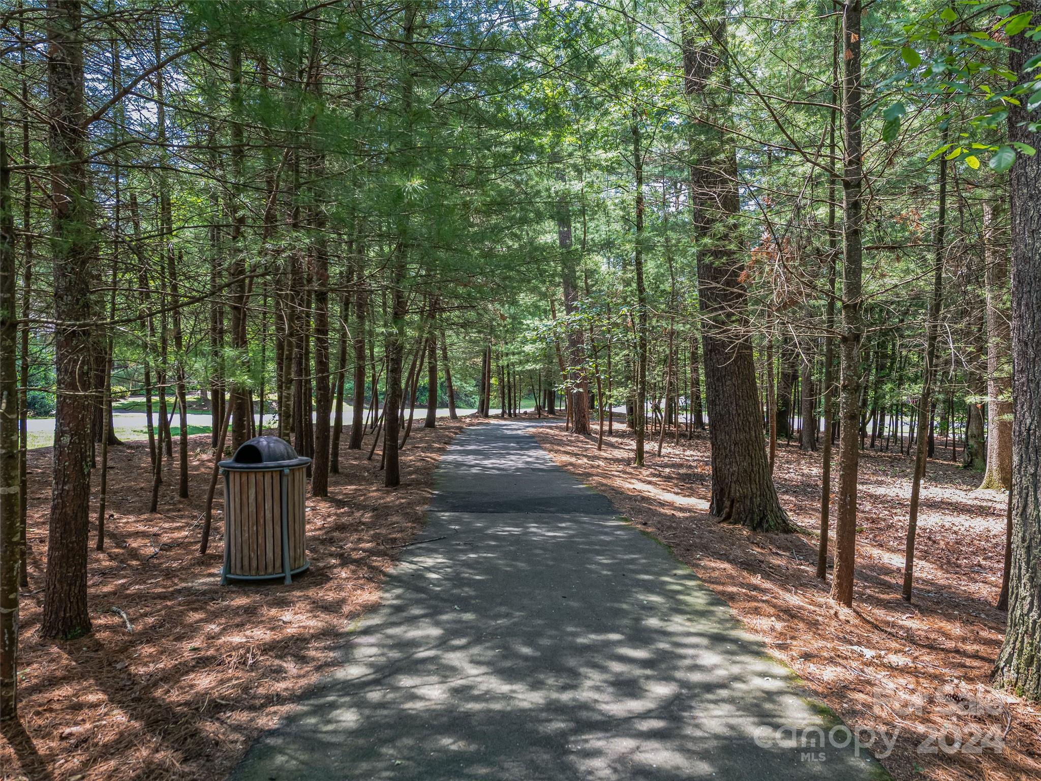 128 Mirehouse Run Asheville NC 28803