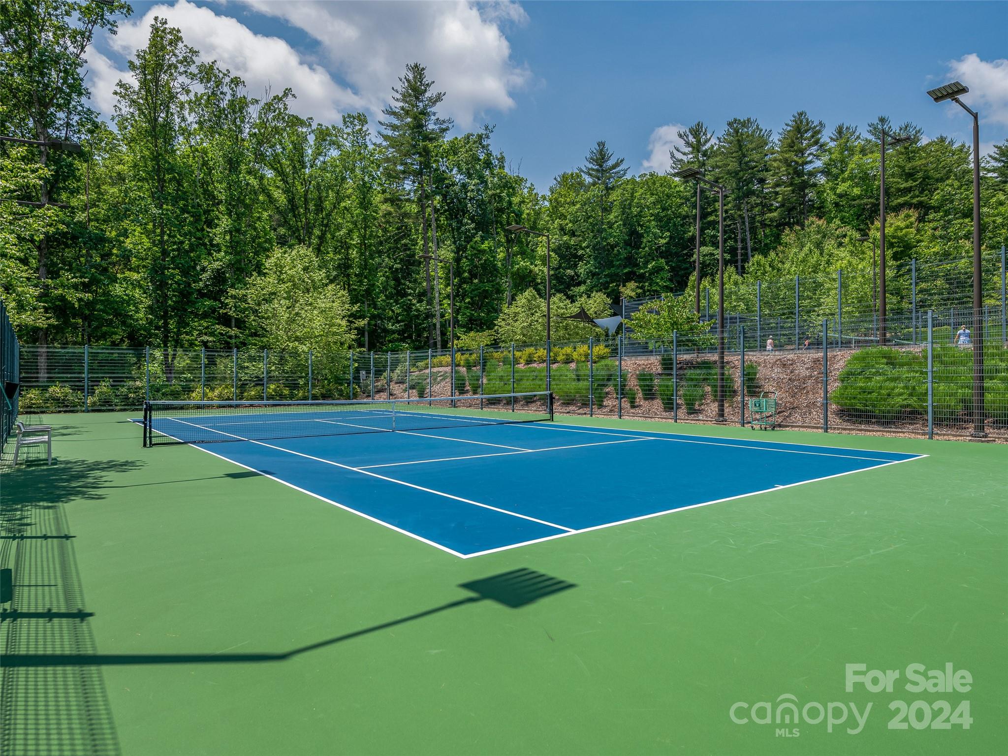 128 Mirehouse Run Asheville NC 28803