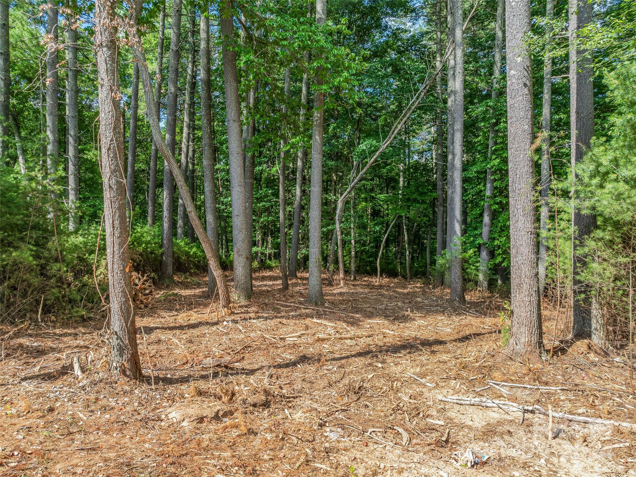 128 Mirehouse Run Asheville NC 28803