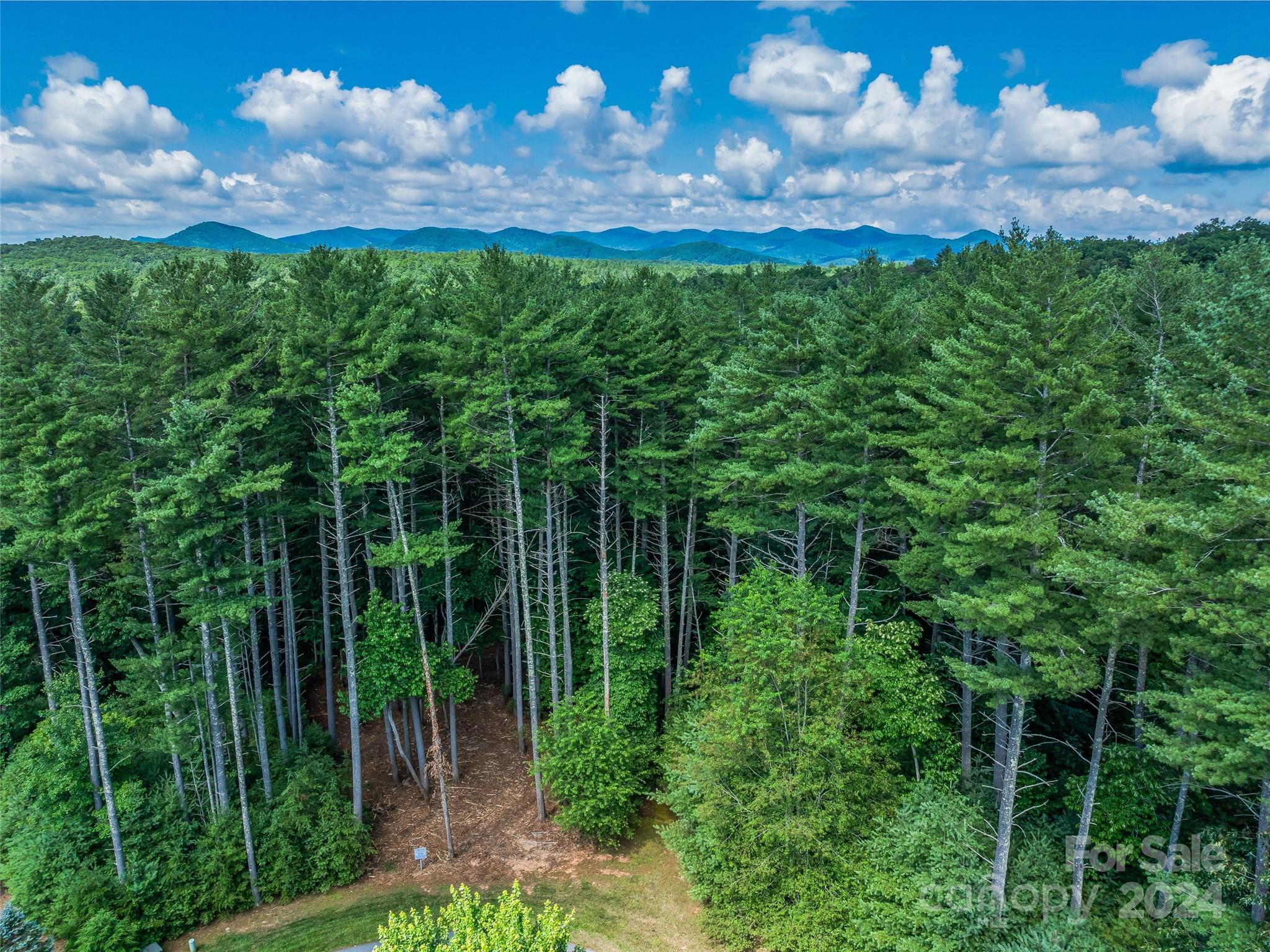 128 Mirehouse Run Asheville NC 28803