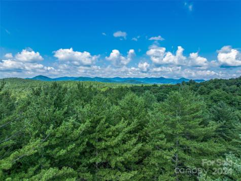 128 Mirehouse Run Asheville NC 28803