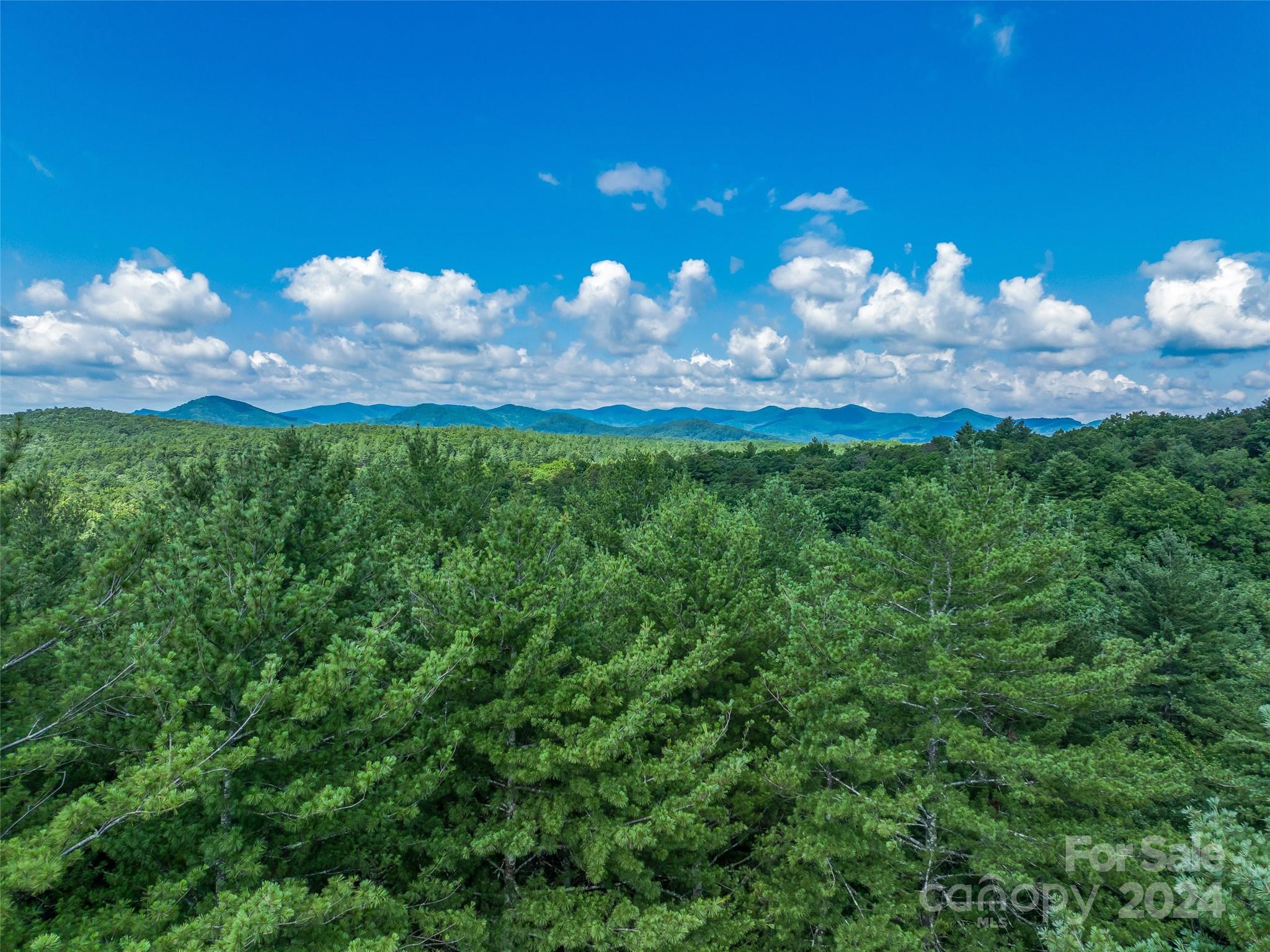 128 Mirehouse Run Asheville NC 28803