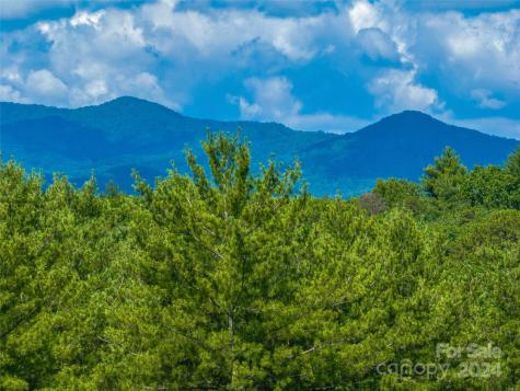 128 Mirehouse Run Asheville NC 28803