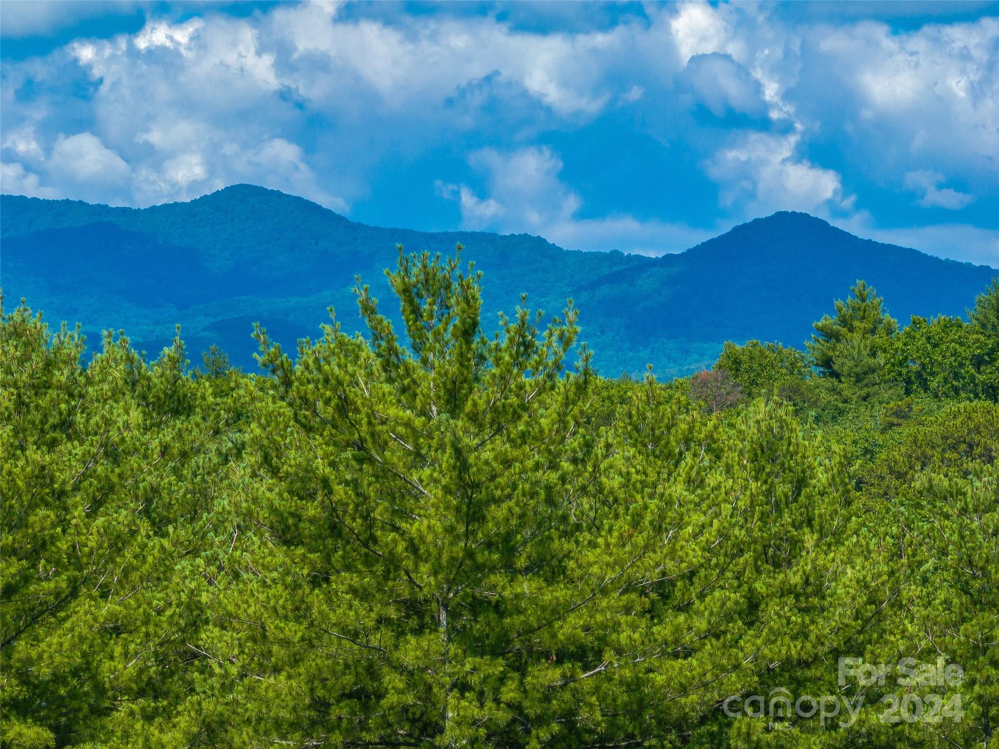 128 Mirehouse Run Asheville NC 28803